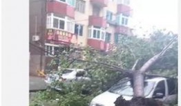 甘井子区最新爆料