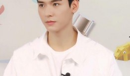 龚俊爆料女友视频播放下载,独家下载，一睹风采