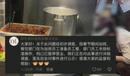 小老饭庄老板爆料视频大全,揭秘美食背后的故事与真相